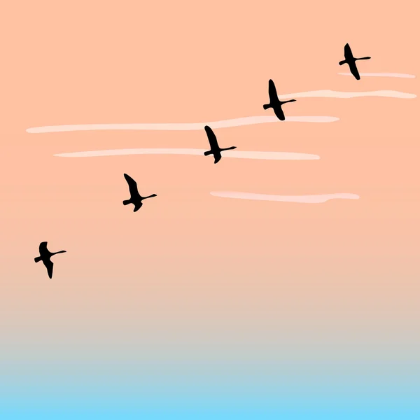 Silhouette oiseaux volants — Image vectorielle