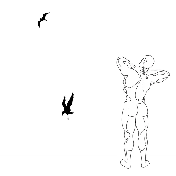 Martılar-kuşlar. bir adam bir uçuş martı görünüyor