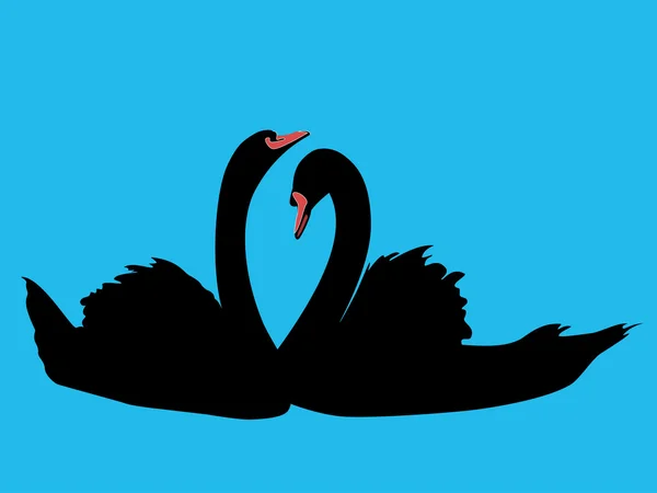 Dois cisnes negros em um fundo azul celestial — Vetor de Stock