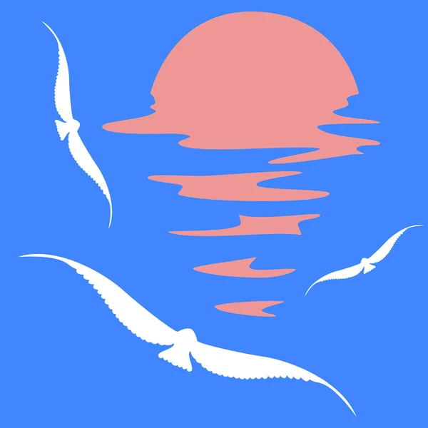 Deniz günbatımı üzerinde kuşlar.