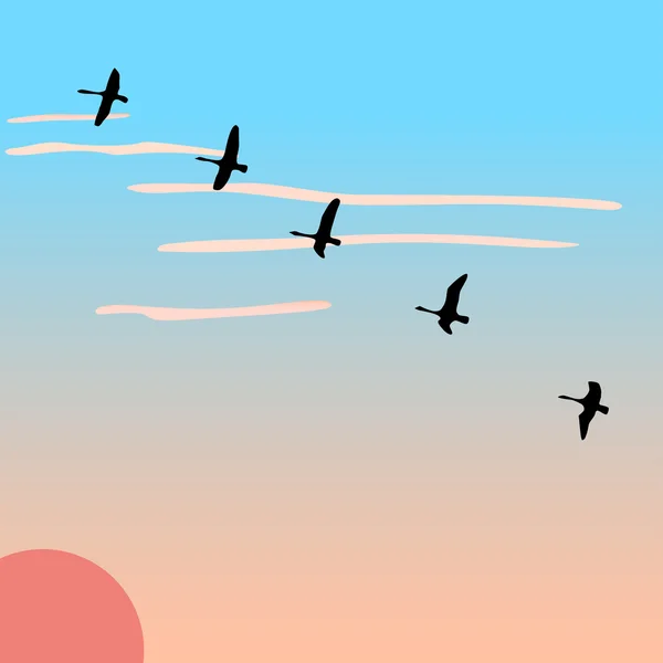 Gansos voladores al amanecer . — Vector de stock