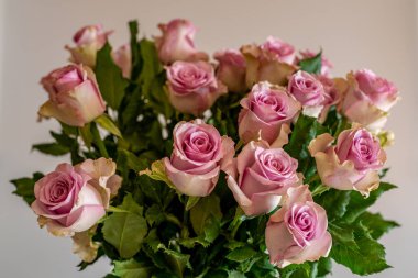 Pembe bir gül buketini kapat.