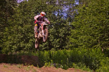 Binici atlar sıçrama tahtası