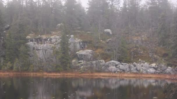 Bosque reflejado en el agua — Vídeo de stock