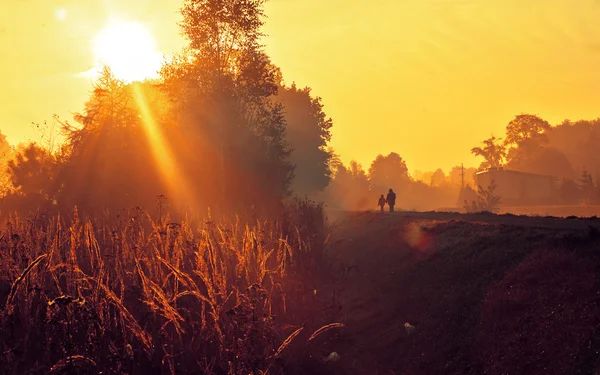 Schöner Morgen — Stockfoto