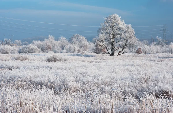 Winterzeit — Stockfoto