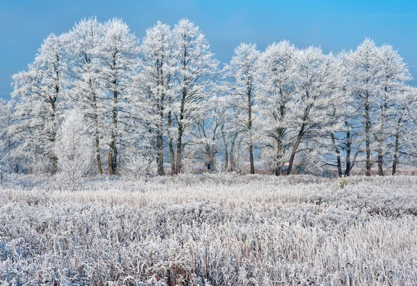 Tiempo de invierno — Foto de Stock