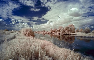 Kızılötesi fotoğraf