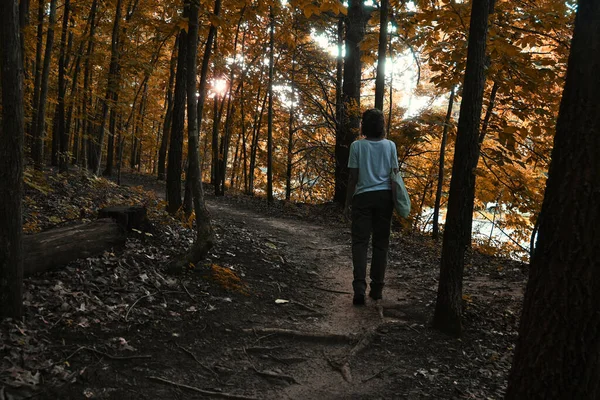 Young Latin Woman Walking Autumn Forest — Stock Photo, Image