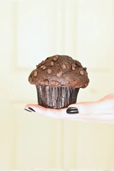 Ung Kvinnas Hand Håller Choklad Muffin — Stockfoto