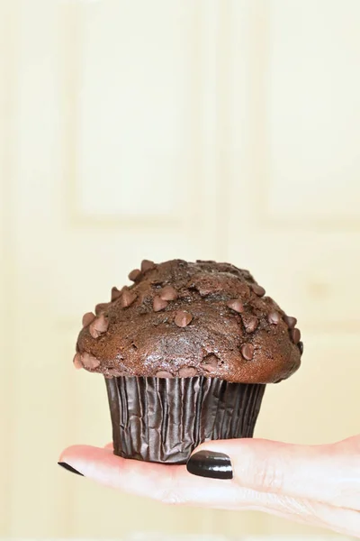 Chocolade Cupcake Lichte Achtergrond — Stockfoto