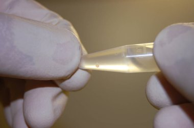 Bilim adamının elleri arasındaki tüpte DNA örneği var.