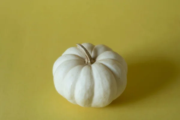 Zucca Bianca Isolata Fondo Giallo Copiare Spazio Concetto Autunno — Foto Stock