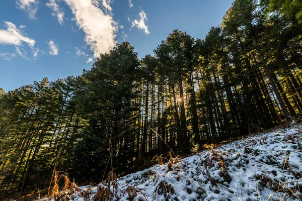 Paisagem Inverno Pôr Sol Montanhas Baba Macedônia — Fotografia de Stock