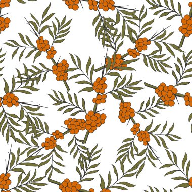 Seamless pattern with sea-buckthorn.Medicinal berry background. 