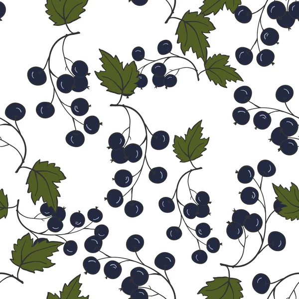 Seamless  pattern with  blackcurrant. Medicinal berry background — Free Stock Photo