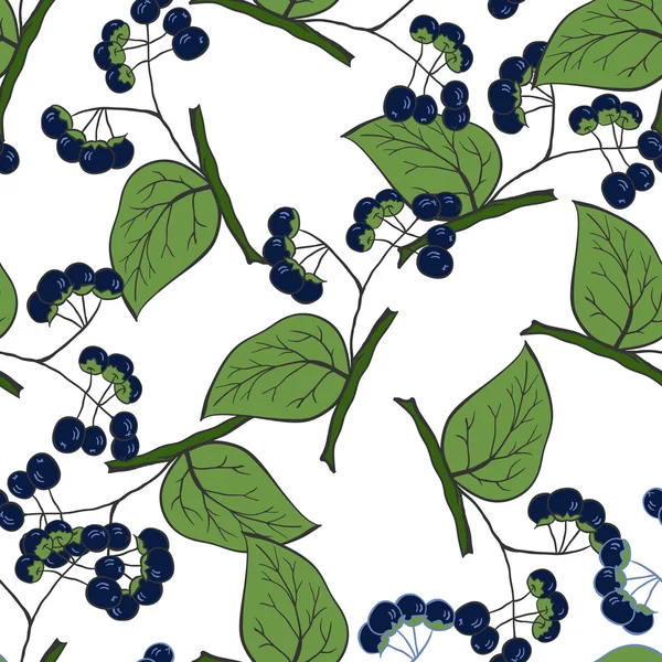 Seamless   pattern with nightshade.Medicinal berry background. — Free Stock Photo