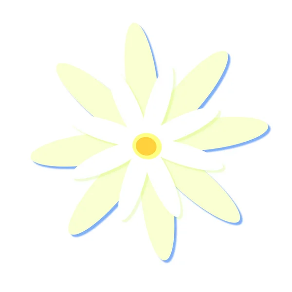 Flor Manzanilla Simple Aislada Sobre Fondo Blanco Impresión Retro Floral — Vector de stock