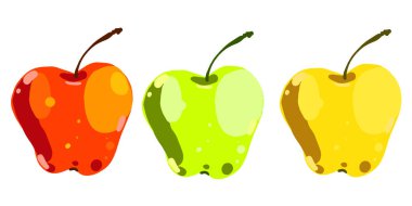 Kırmızı, yeşil ve sarı renkli üç elmanın vektör çizimi. Beyaz arka planda el yapımı taze meyveler.