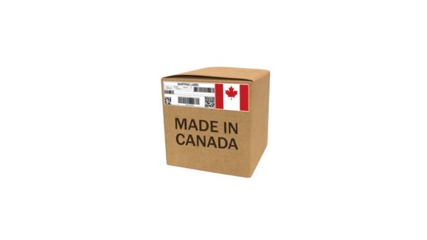 2021 Canada Rendered Made Canada Box Animatie Met Groen Scherm — Stockvideo