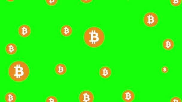 Bitcoin Seamless Loop Rain Abstract Concept Green Screen — 비디오