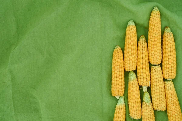 Ears Corn Lie Green Linen Tablecloth Top View Copy Space — Stock Photo, Image