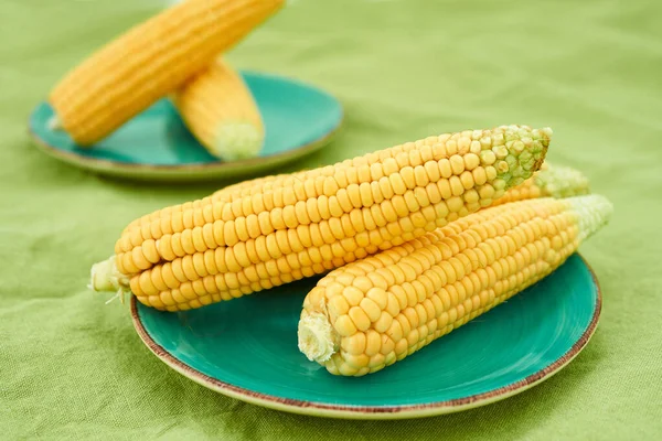 Ears Corn Blue Plate Green Linen Tablecloth — Stock Photo, Image