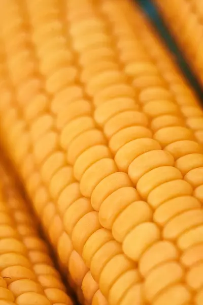 Close Macro Surface Top View Background Yellow Corn Maize — Stock Photo, Image