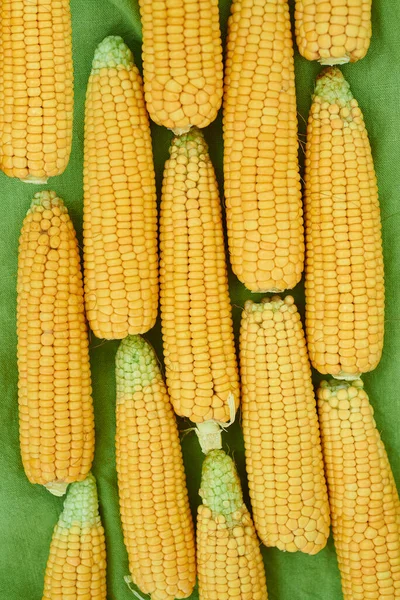 Ears Corn Lie Green Linen Tablecloth Top View — Stock Photo, Image