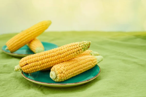 Ears Corn Blue Plate Green Linen Tablecloth — Stock Photo, Image