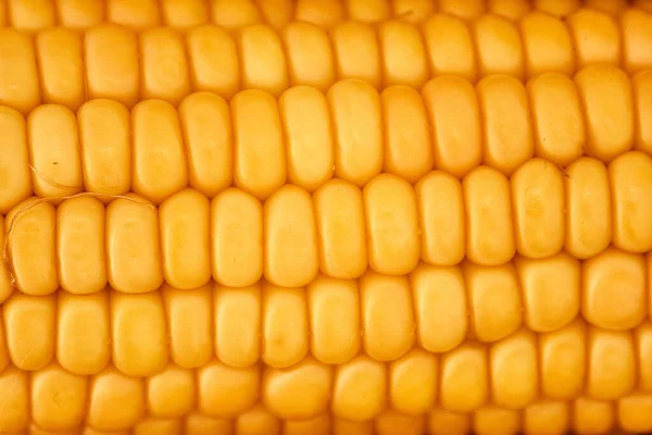 Yellow Corn Ear Close Macro Surface Top View Background — Stock Photo, Image