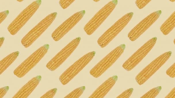 Wideo Złota Kukurydza Bezszwowy Wzór Kolbami Słodkich Warzyw Kukurydzianych Żółtym — Wideo stockowe