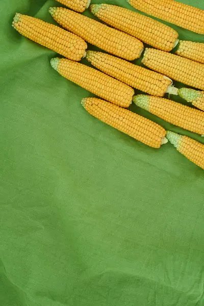 Ears Corn Lie Green Linen Tablecloth Top View Copy Space — Stock Photo, Image