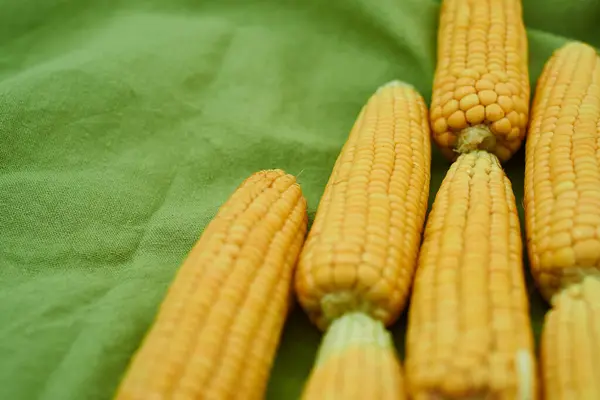 Close Ears Corn Lie Green Linen Tablecloth — Stock Photo, Image