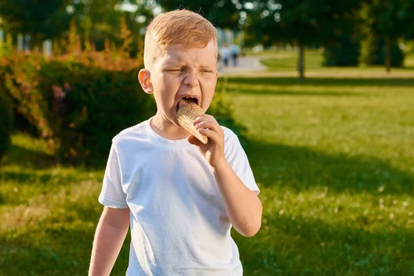 Liten Rödhårig Femårig Pojke Äter Utsökt Krämig Glass Våffelkon Parken — Stockfoto