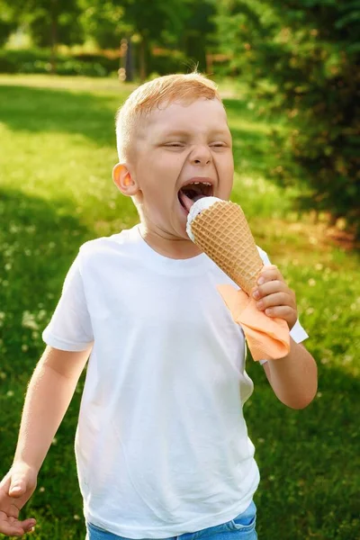 Маленький Рыжий Пятилетний Мальчик Ест Вкусное Сливочное Мороженое Вафельном Конусе — стоковое фото