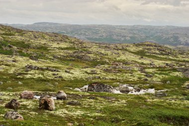 Hill, Murmansk bölgesi, Rusya. Tundrada Kuzey Kutup Yazı.