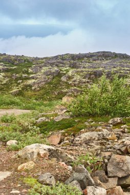 Hill, Murmansk bölgesi, Rusya. Tundrada Kuzey Kutup Yazı.