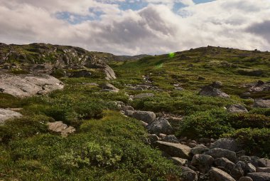 Hill, Murmansk bölgesi, Rusya. Tundrada Kuzey Kutup Yazı.