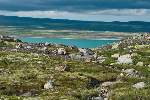 Norra Ishavets Kust Barents Hav Ryssland Nordpolär Sommar Tundran Kulle — Stockfoto