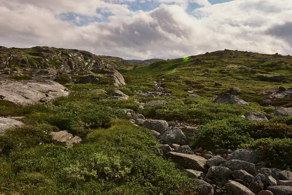 Hill, Murmansk region, Russia. Northern polar summer in the tundra.