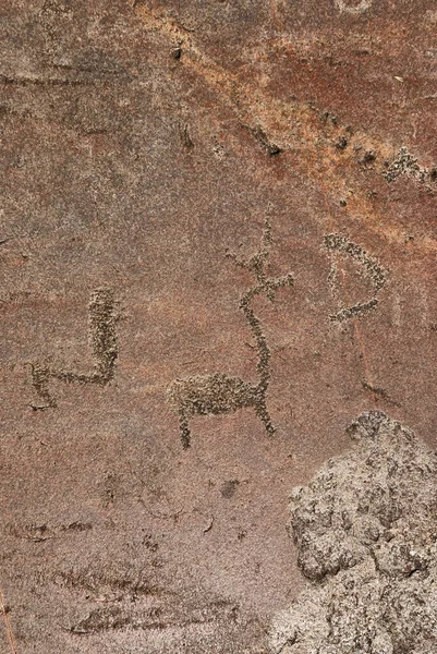 Imagen Ciervo Sobre Una Piedra Arte Rupestre Antiguo —  Fotos de Stock