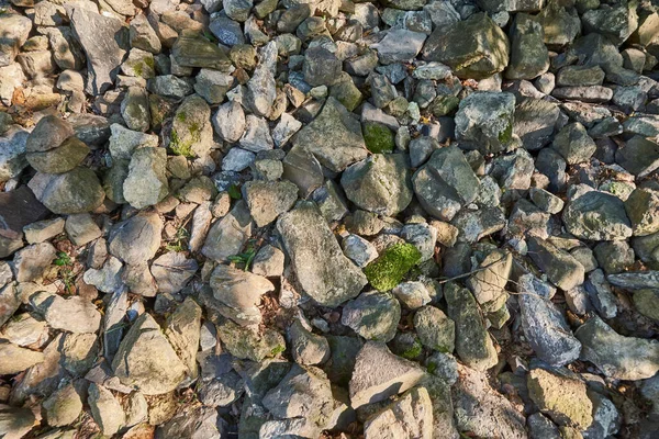 Textura Piedras Con Vista Superior Musgo — Foto de Stock