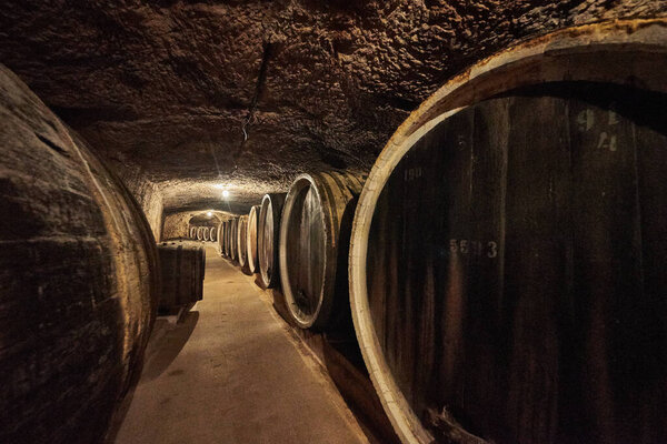 Old cellar with large wooden barrels of alcohol wine