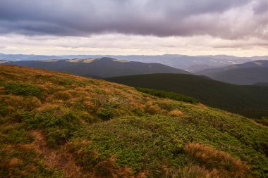 Kahverengi ve yeşil otlarla Karpatların dağ manzarası.
