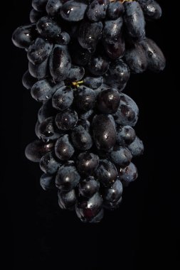 Yakın plan, düşük ışıktaki üzümlerden oluşan böğürtlenler siyah arka plan, su damlaları, tatlı üzümler.