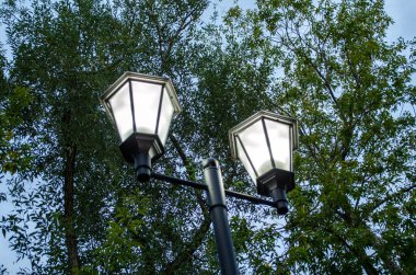 Yeşil yapraklara karşı fenerin detaylı görüntüsü. Şehir parkında eski bir posta lambası..