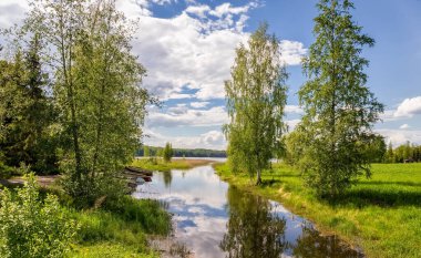 Yaz manzarası. Ormandaki göl. Doğa Koruma Konsepti. Yaz arkaplanı.