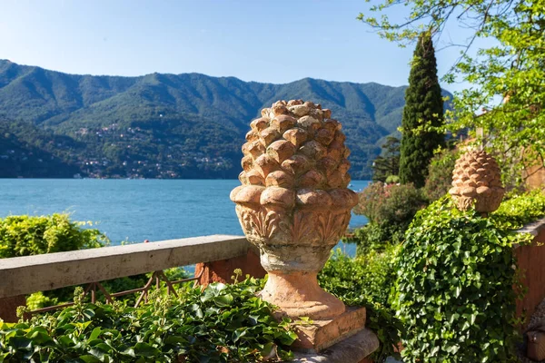 Kužel kamenné borovice. Italský symbol plodnosti. Lake Como. — Stock fotografie