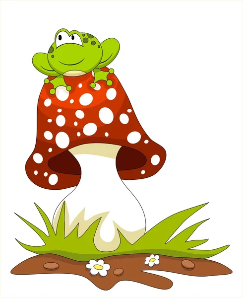 Frog sitting on a mushroom — Stock Vector